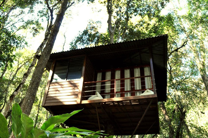 Tree House Cottages in Laternstay Resort